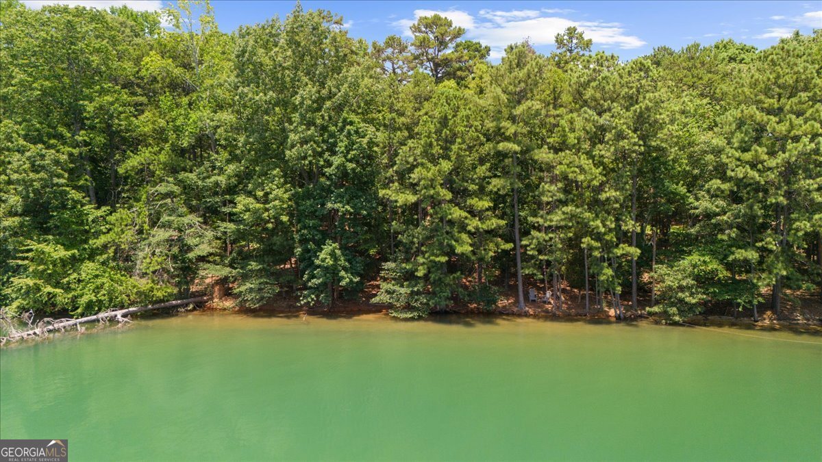 6806 Misty Cove Ln Flowery Branch - 25