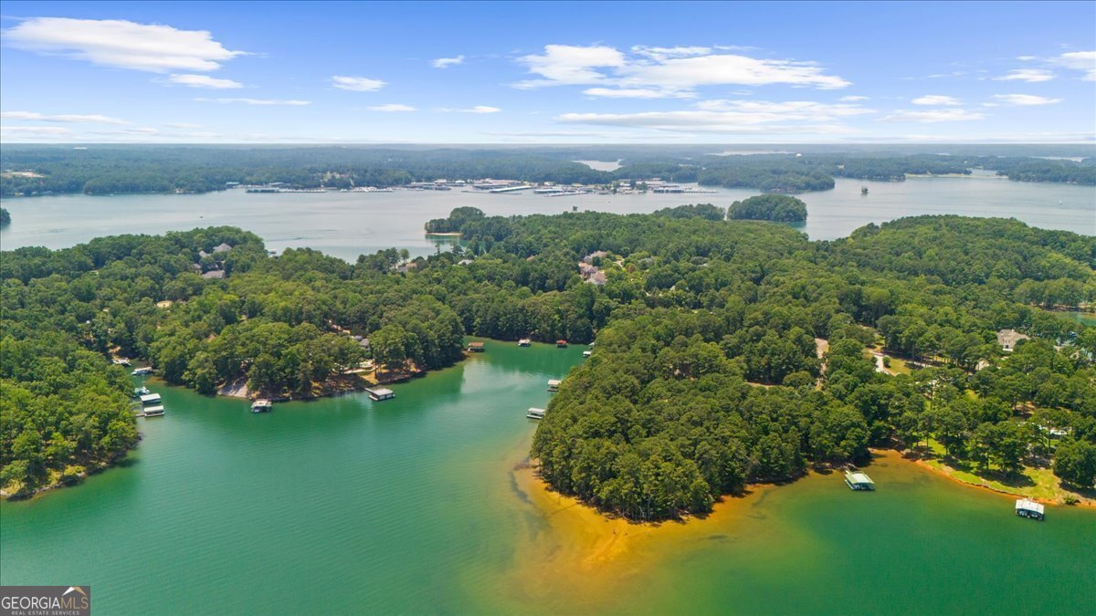 6806 Misty Cove Ln Flowery Branch - 28