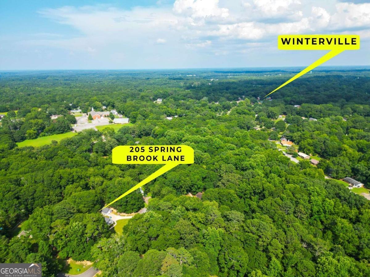 205 Springbrook Lane Winterville - 20
