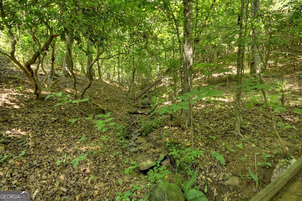 409 Hothouse Lane Mineral Bluff - 15