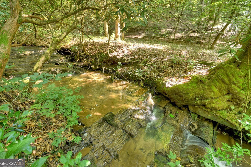 409 Hothouse Lane Mineral Bluff - 3