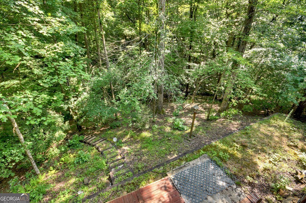 409 Hothouse Lane Mineral Bluff - 6