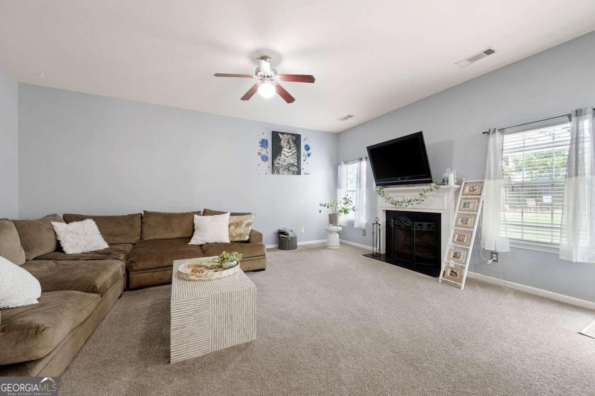 419 Farmwood Way Canton - 14