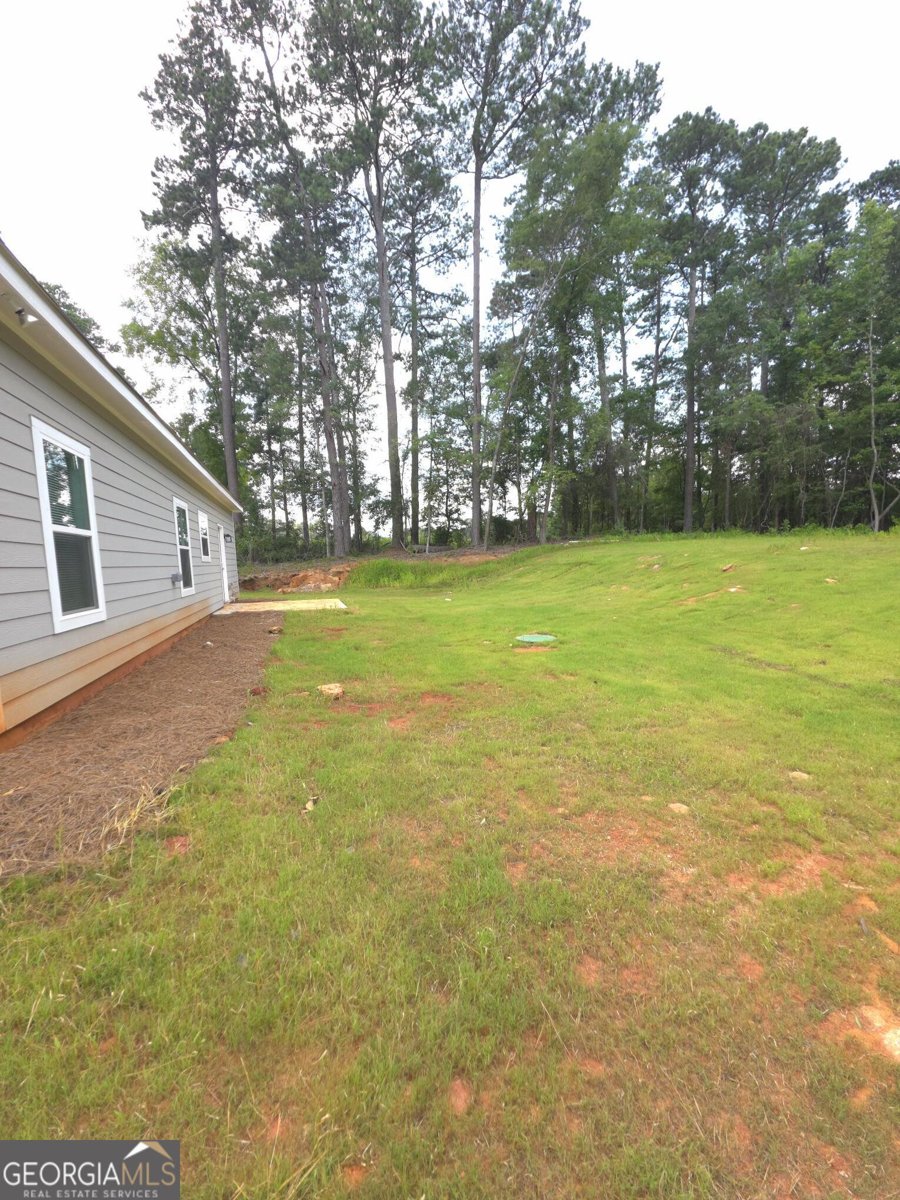 255 Freeman Drive Athens - 11