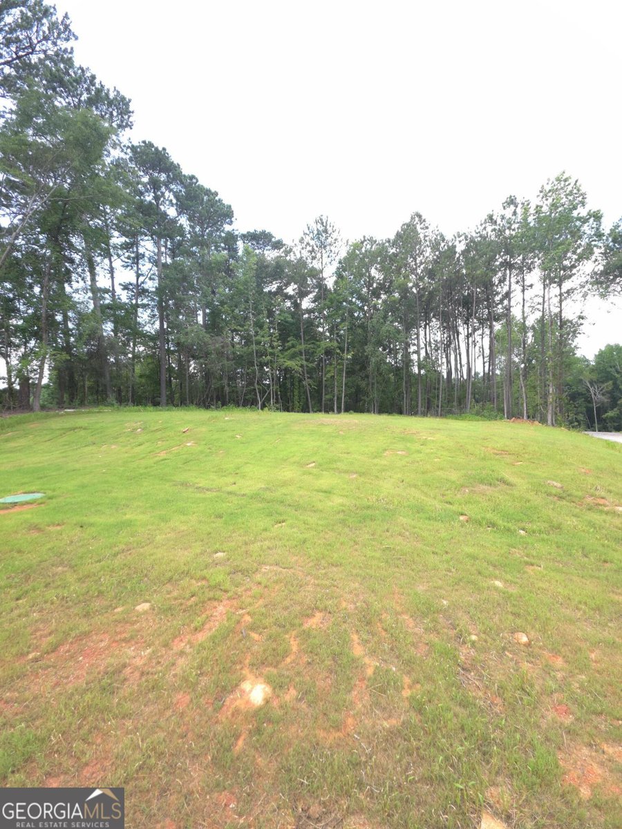 255 Freeman Drive Athens - 12