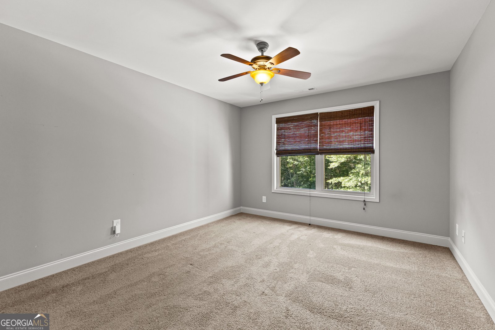 152 Magnolia Place Way Senoia - 10