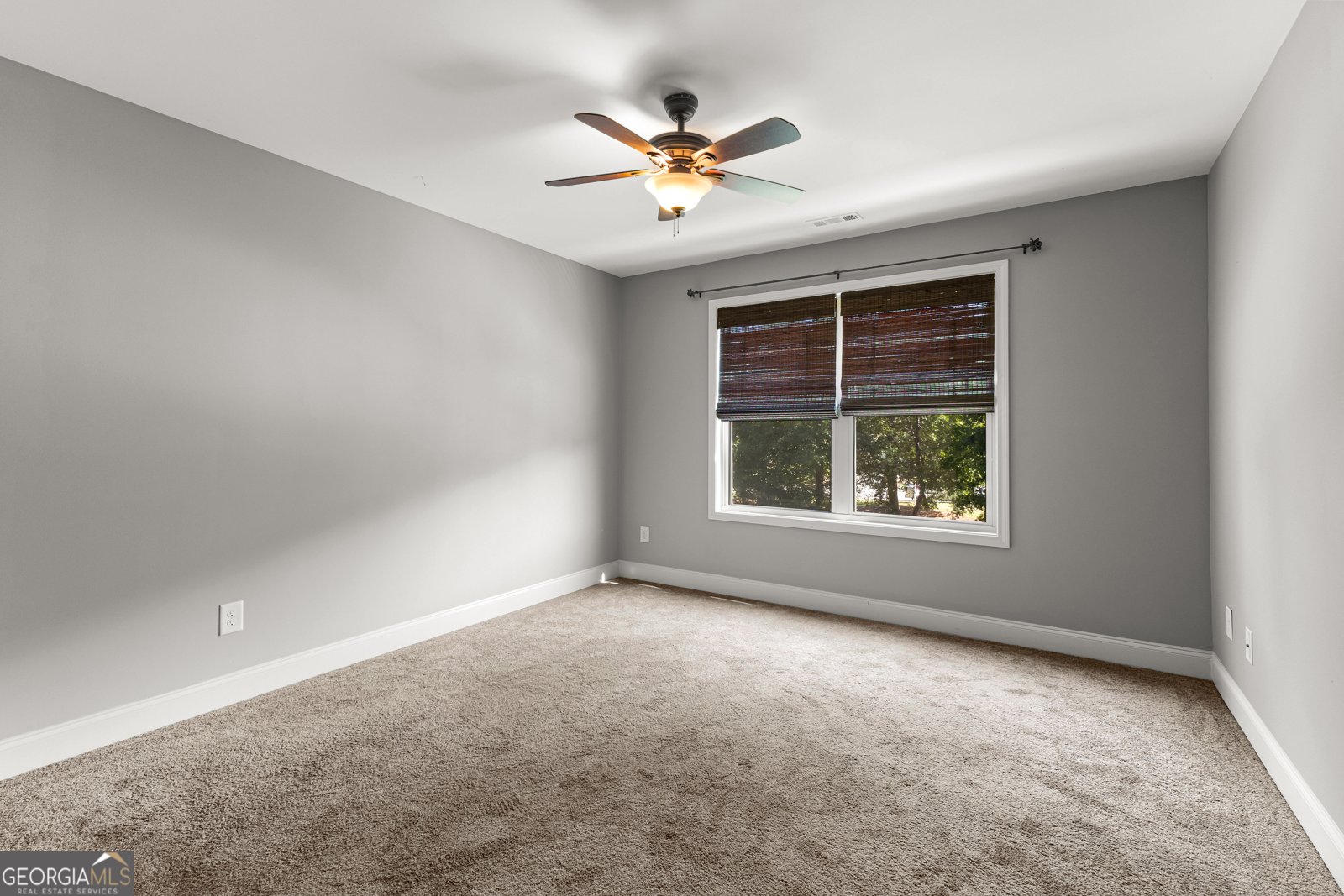 152 Magnolia Place Way Senoia - 14