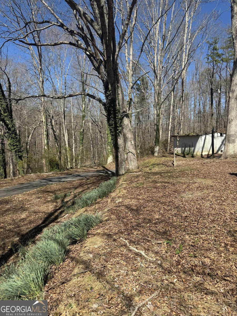 202 Henderson Falls Road Toccoa - 4