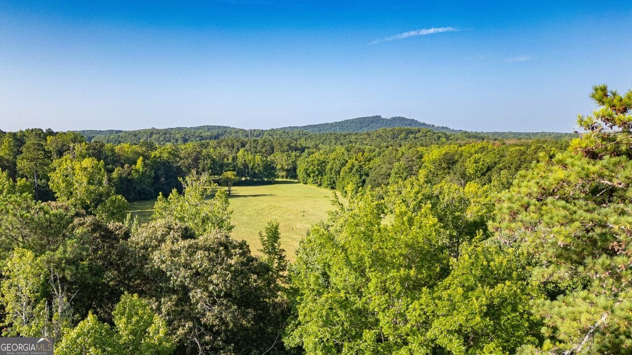 817 Registry Terrace Kennesaw - 64