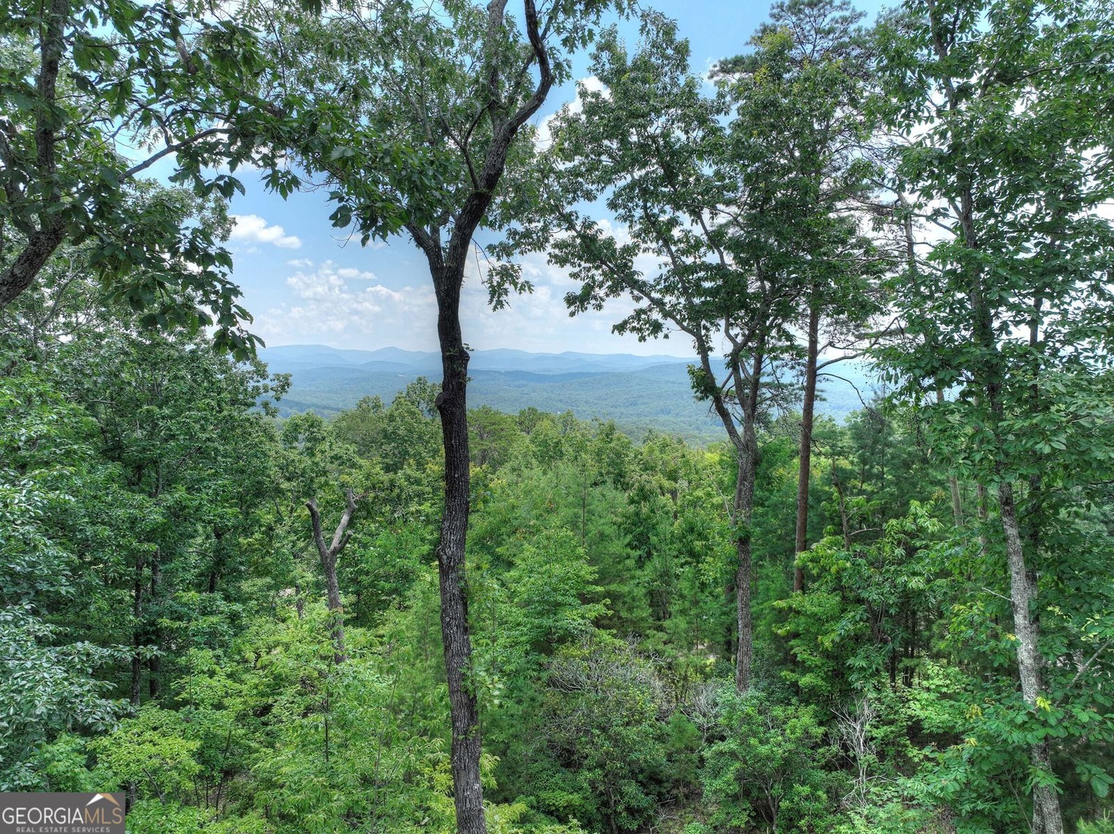 768 Cherokee Circle Ellijay - 2
