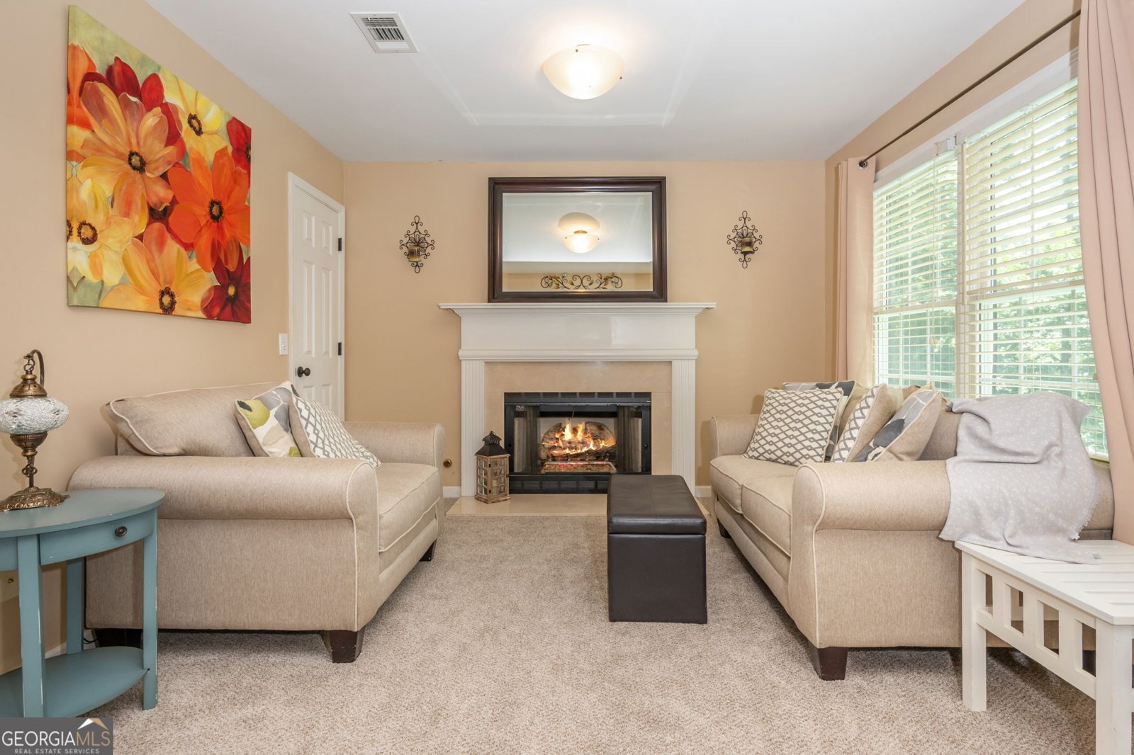 1234 John Douglass Drive Marietta - 37