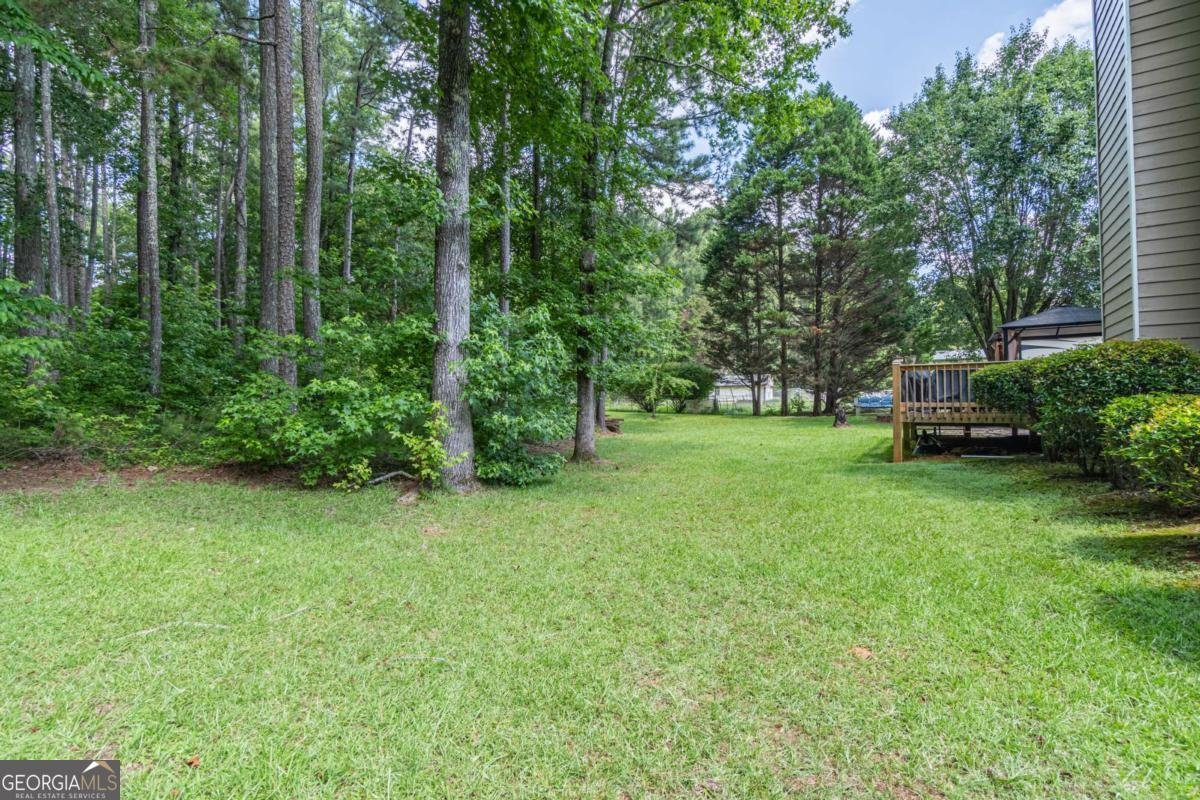 155 Redspire Lane Fayetteville - 41
