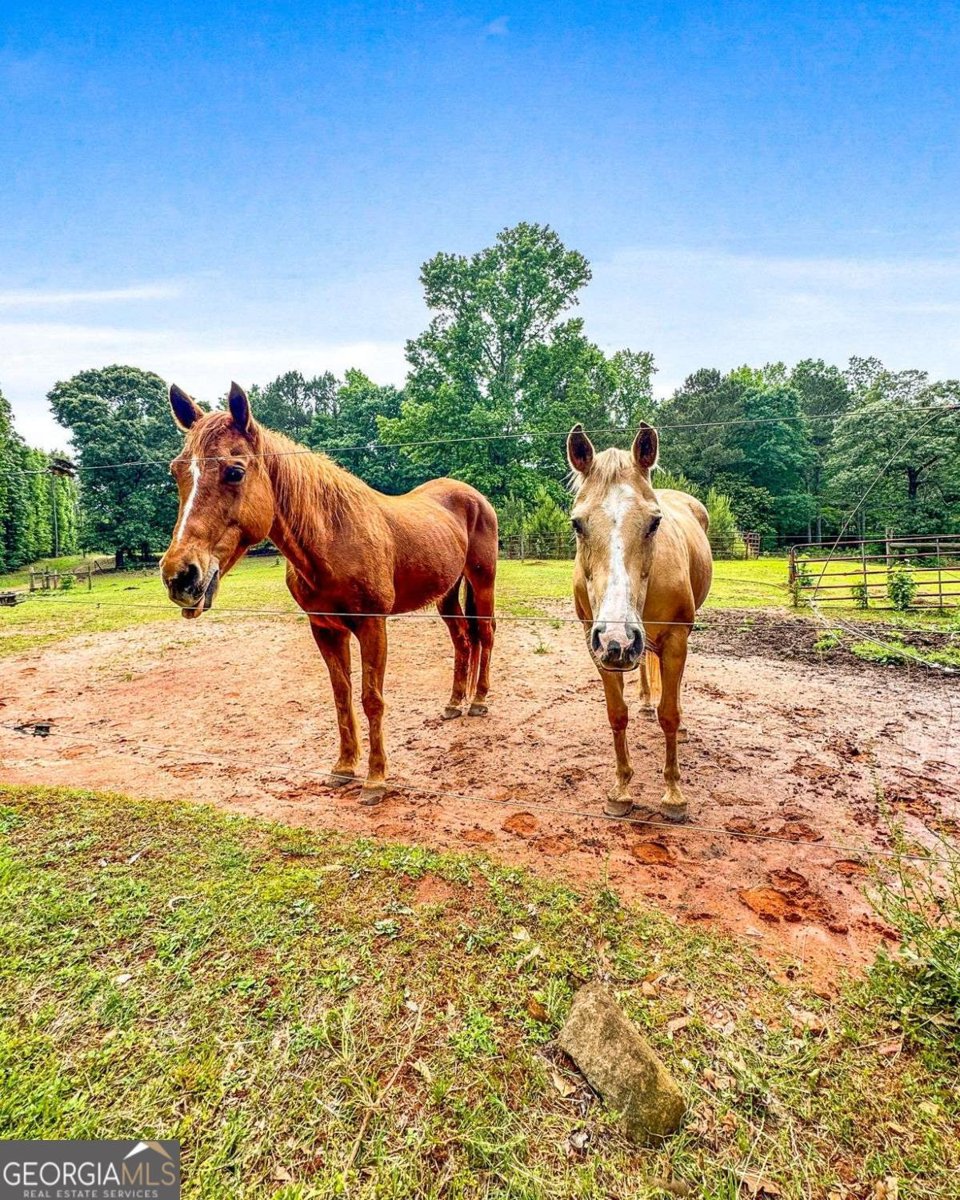 204 Lunsford Road Jackson - 11