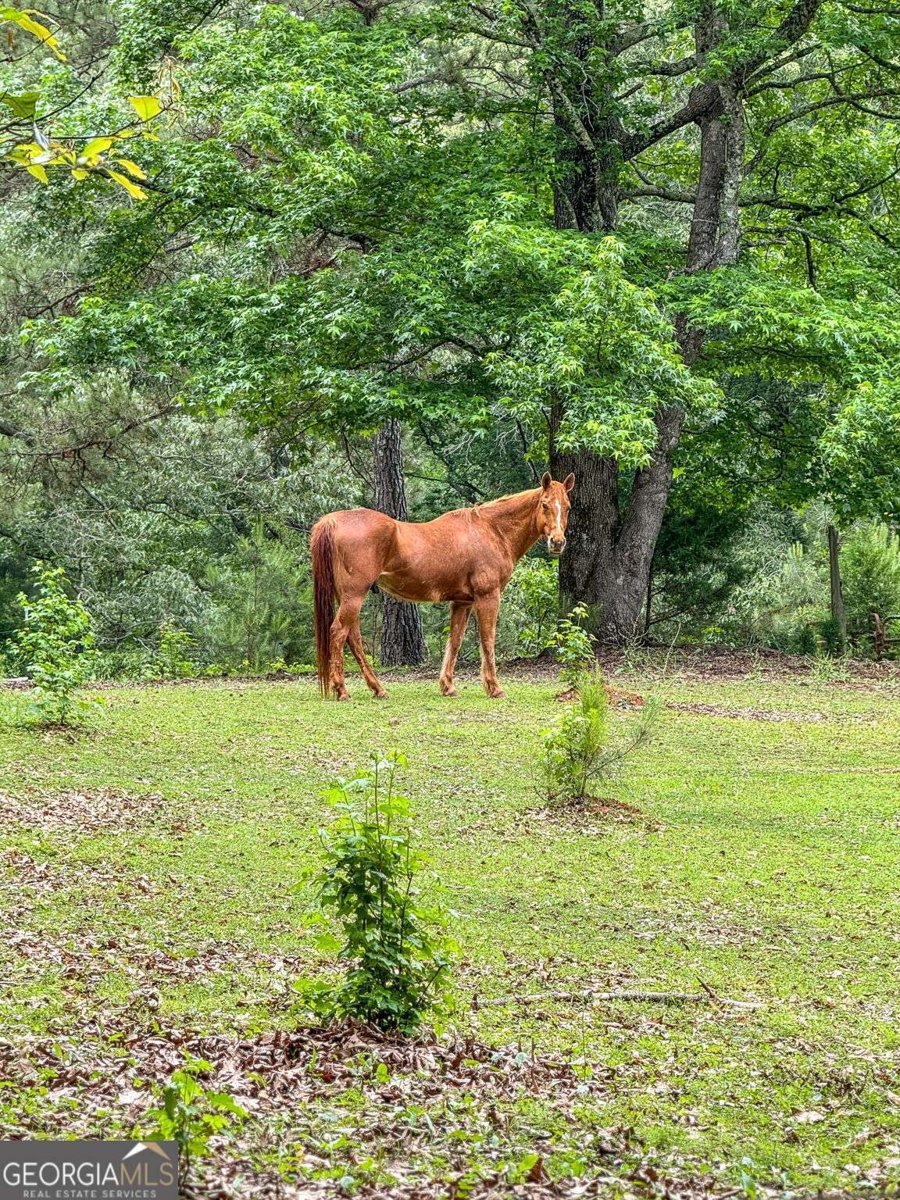 204 Lunsford Road Jackson - 12