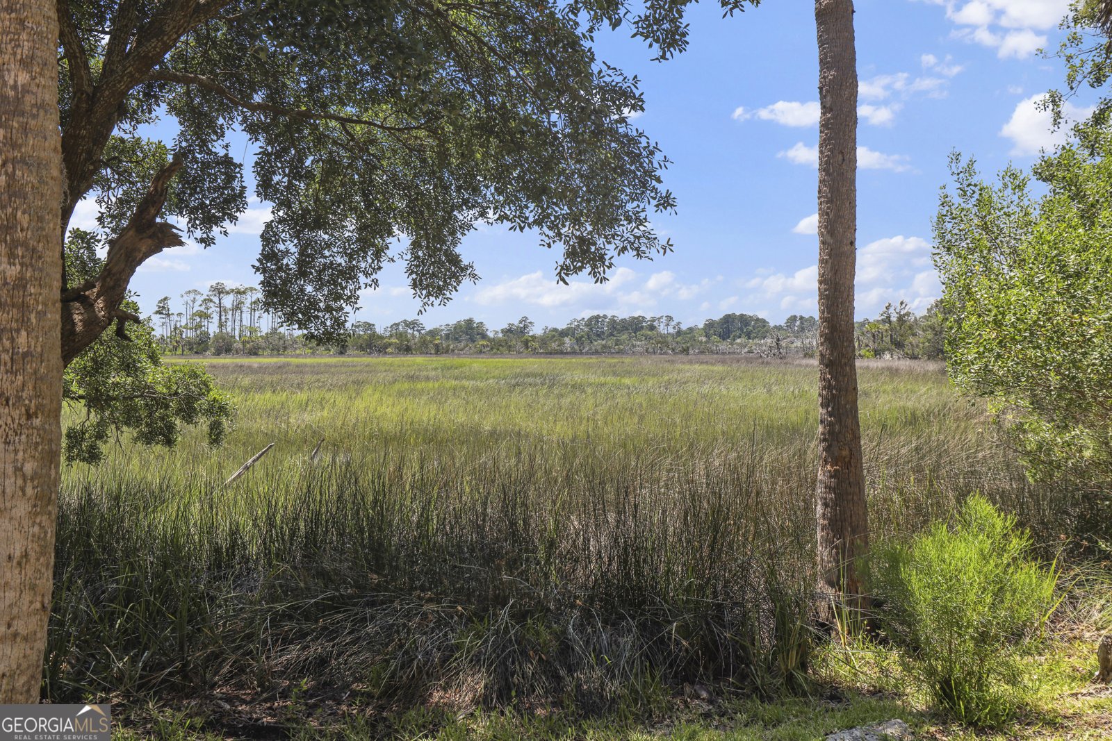 4302 Walden Park Drive Savannah - 34