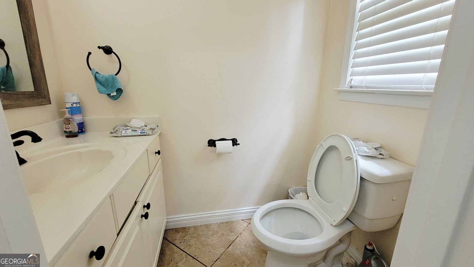 720 River Overlook Drive Lawrenceville - 17