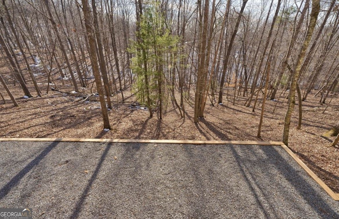 149 Pinecrest Court Ellijay - 4