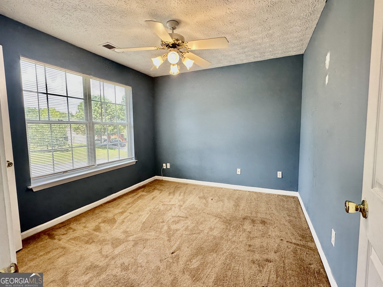 3605 Longfield Drive Douglasville - 19