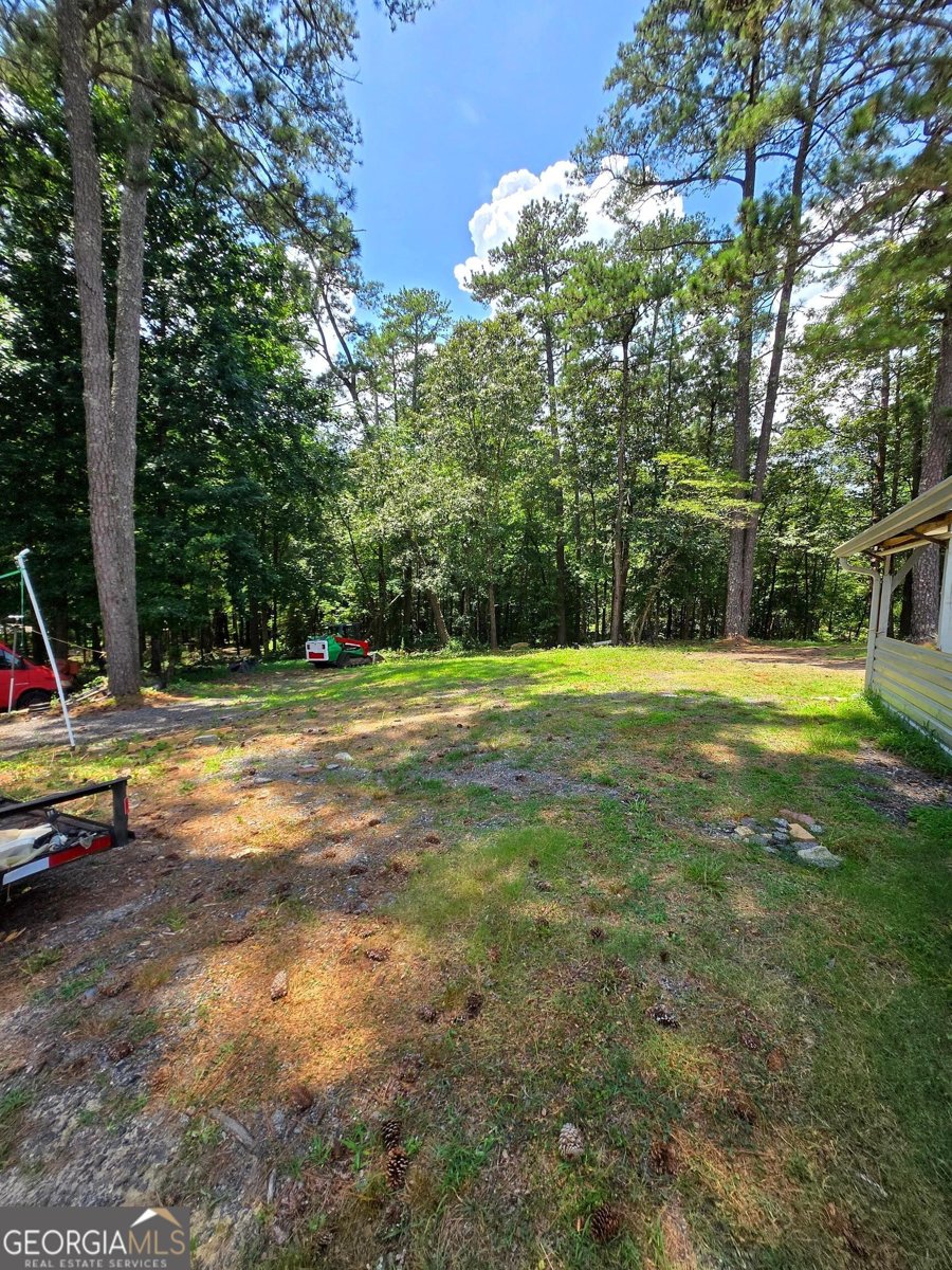 1833 Stephenson Road Lithonia - 42