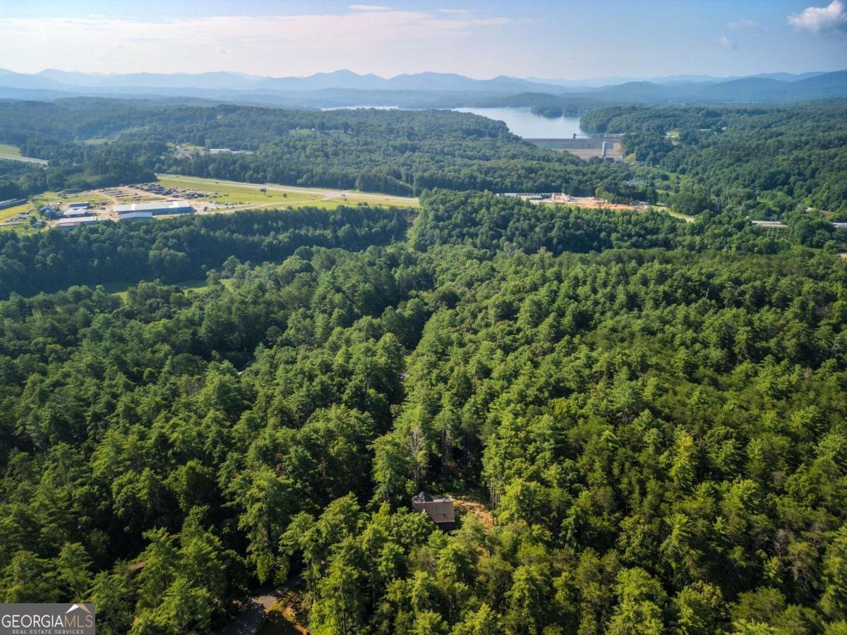 345 Deer Trail Mineral Bluff - 21