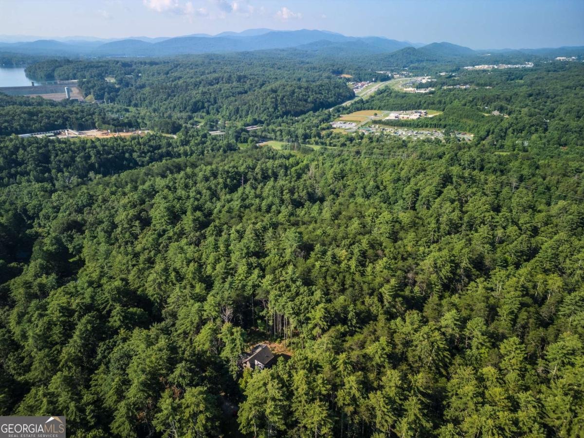 345 Deer Trail Mineral Bluff - 5