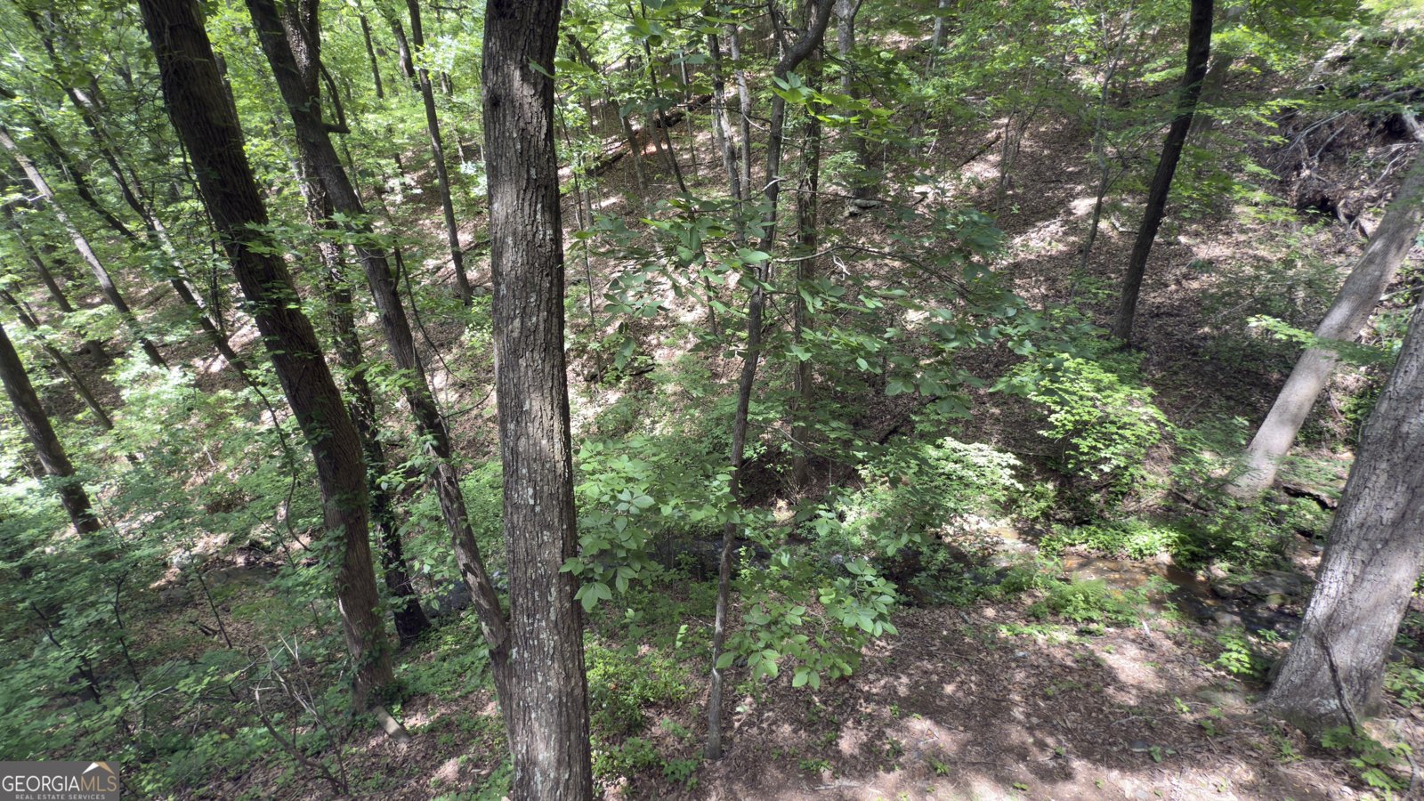 87 Garden Lane Cleveland - 26