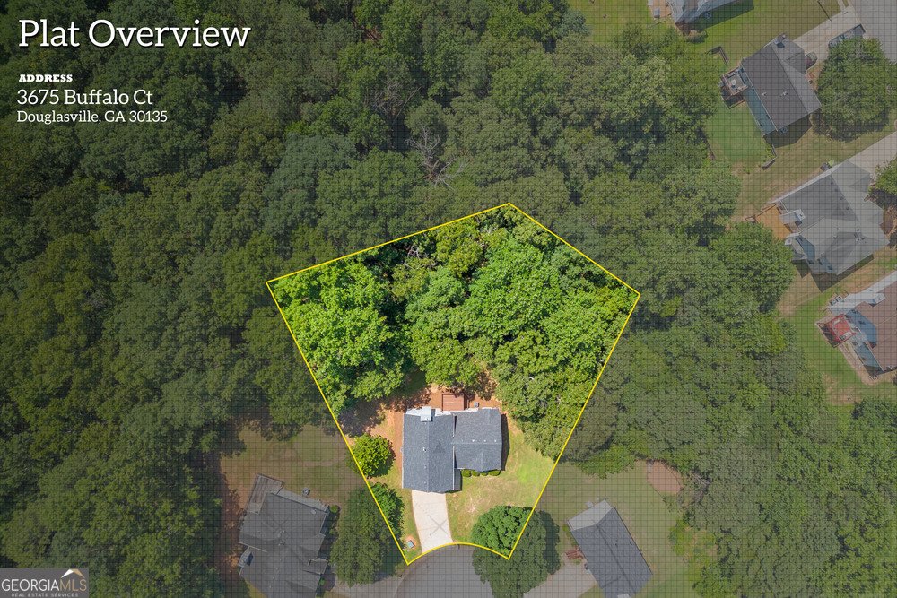 3675 Buffalo Court Douglasville - 61