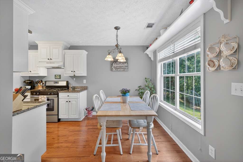 4860 HUNT CLUB Drive Flowery Branch - 12