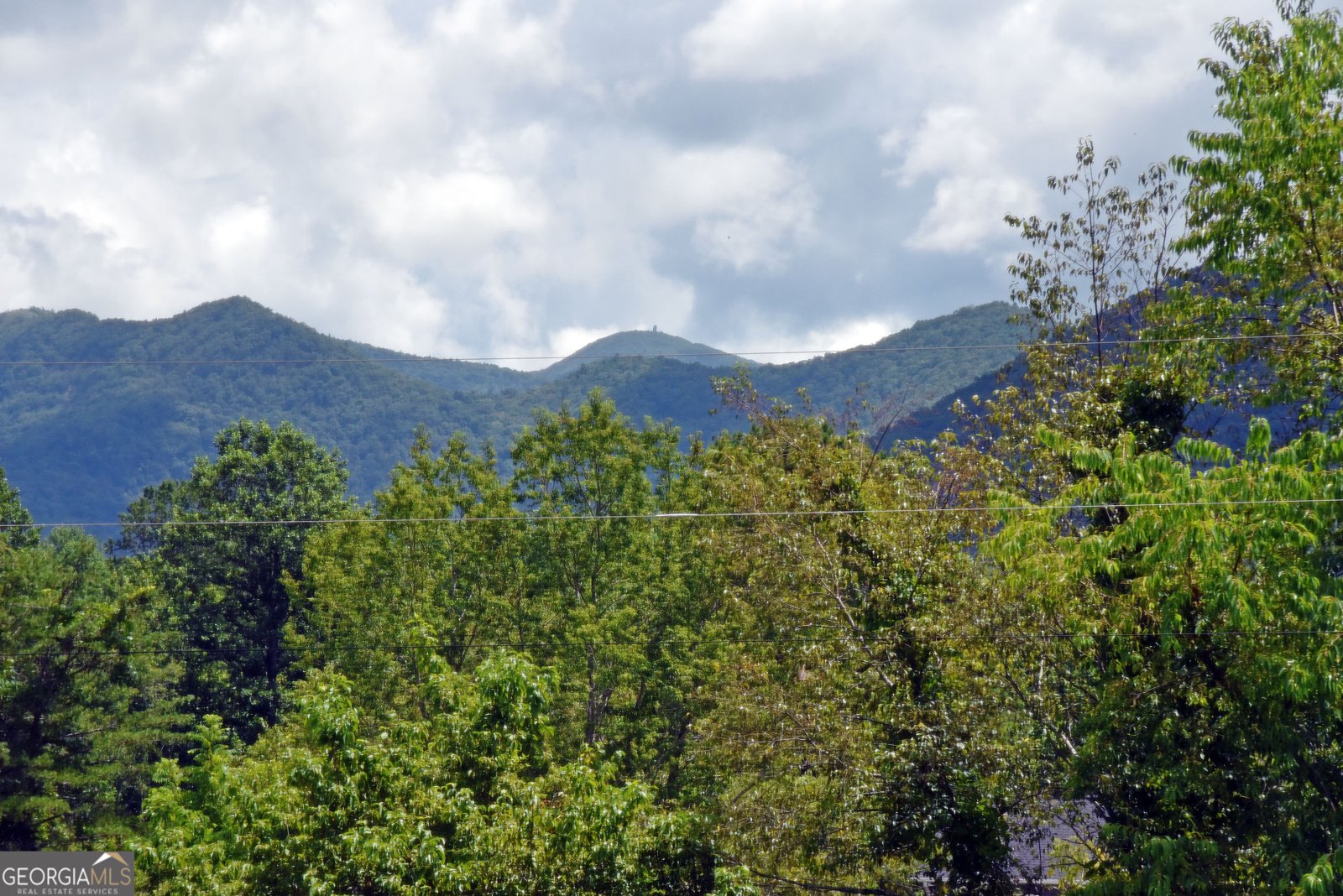 19 Everetts View Blairsville - 24