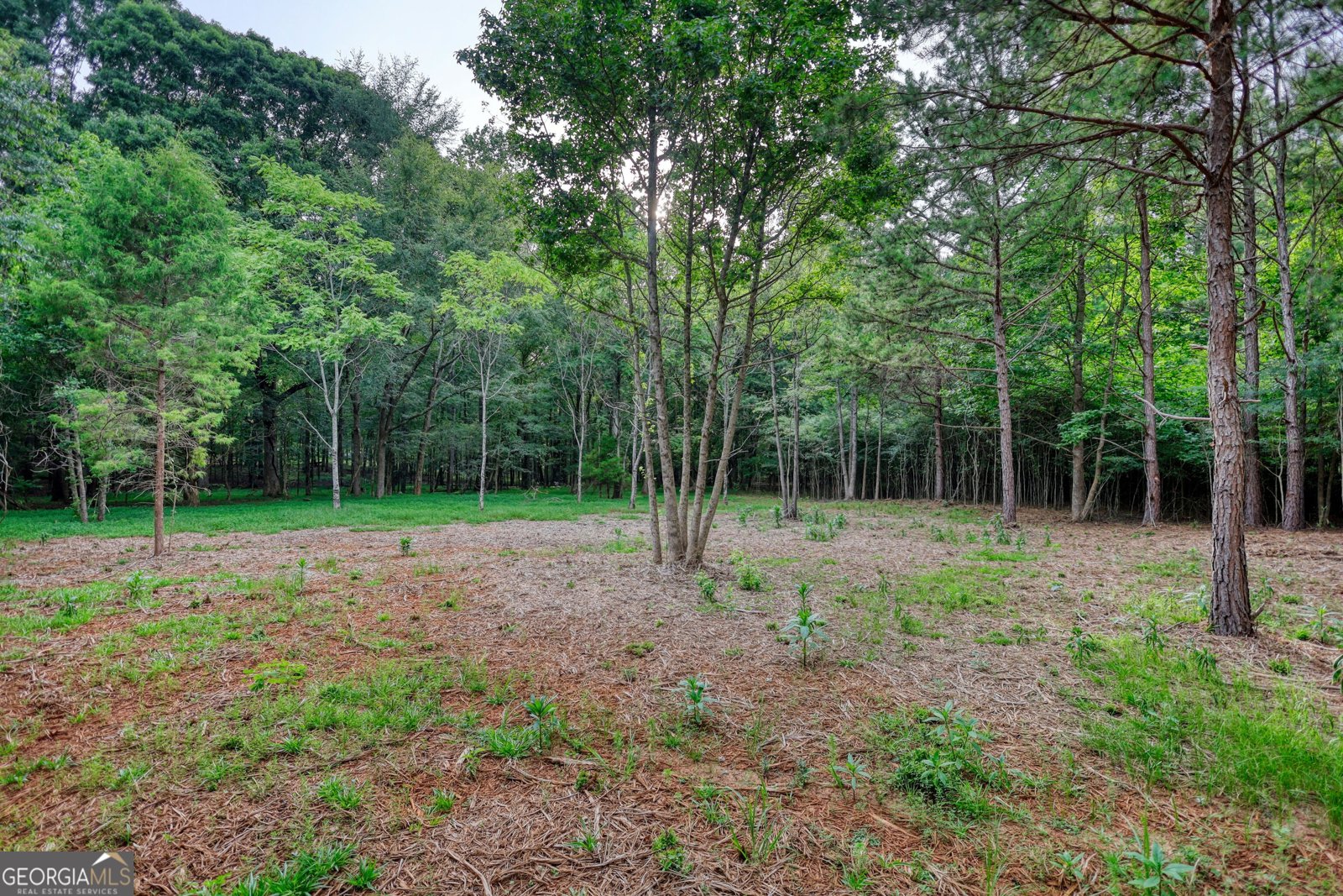 4115 Mount Paran Dr Social Circle - 2