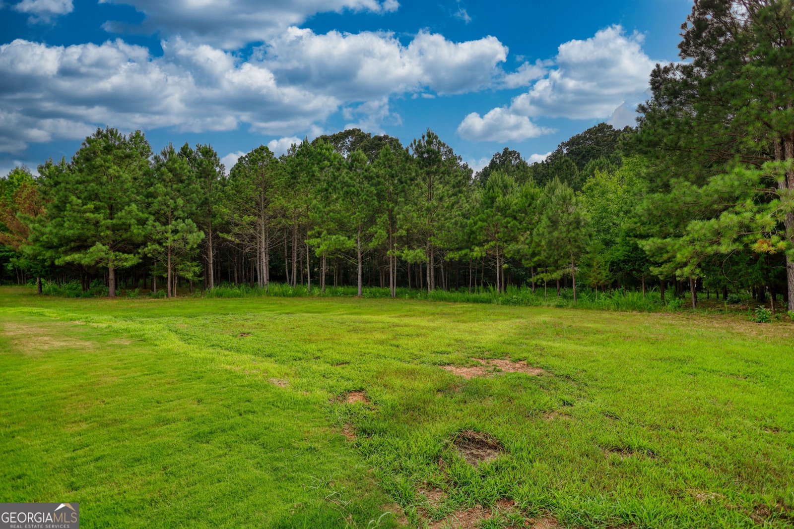 4145 Mount Paran Dr Social Circle - 59