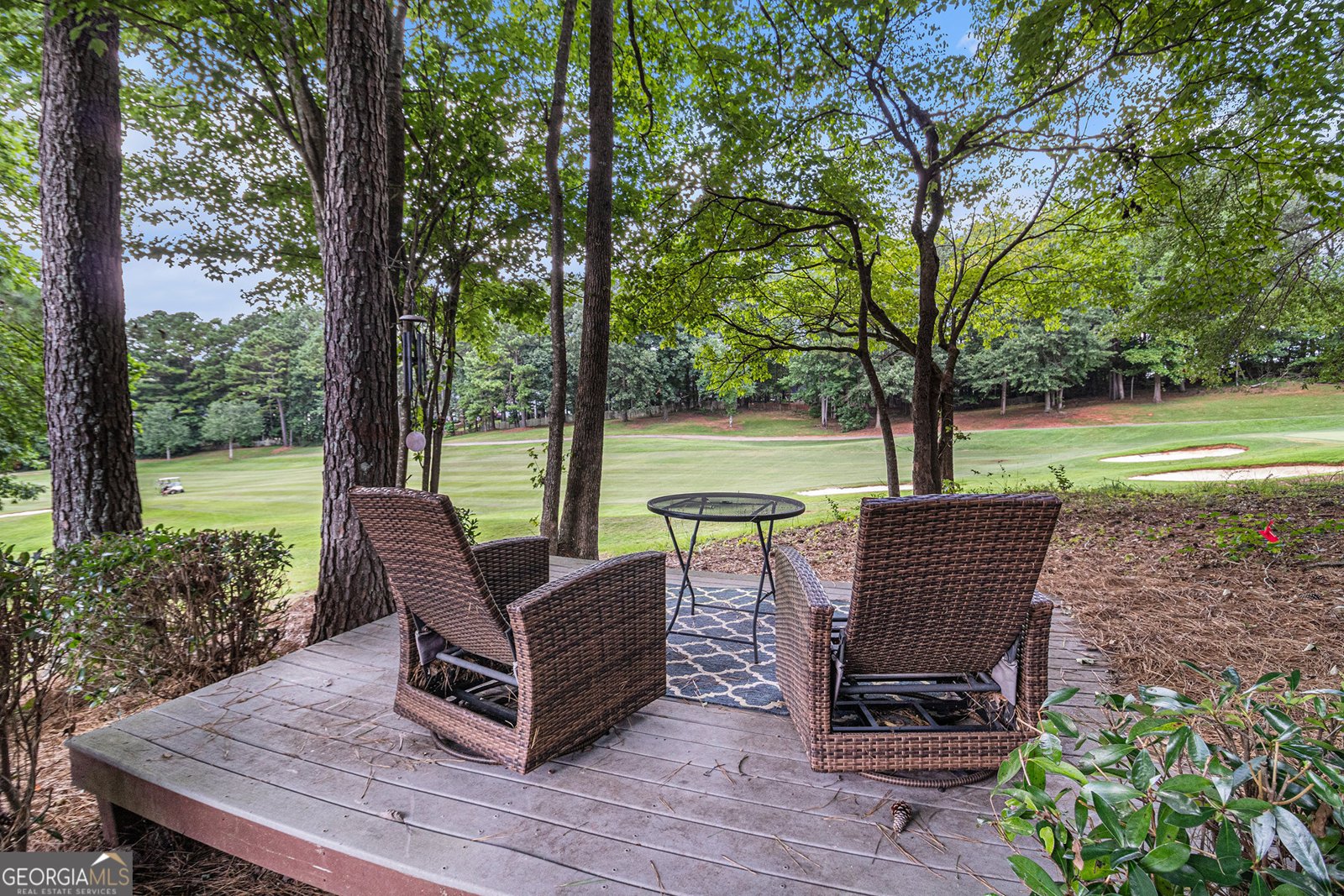 180 Greenview Drive Newnan - 28