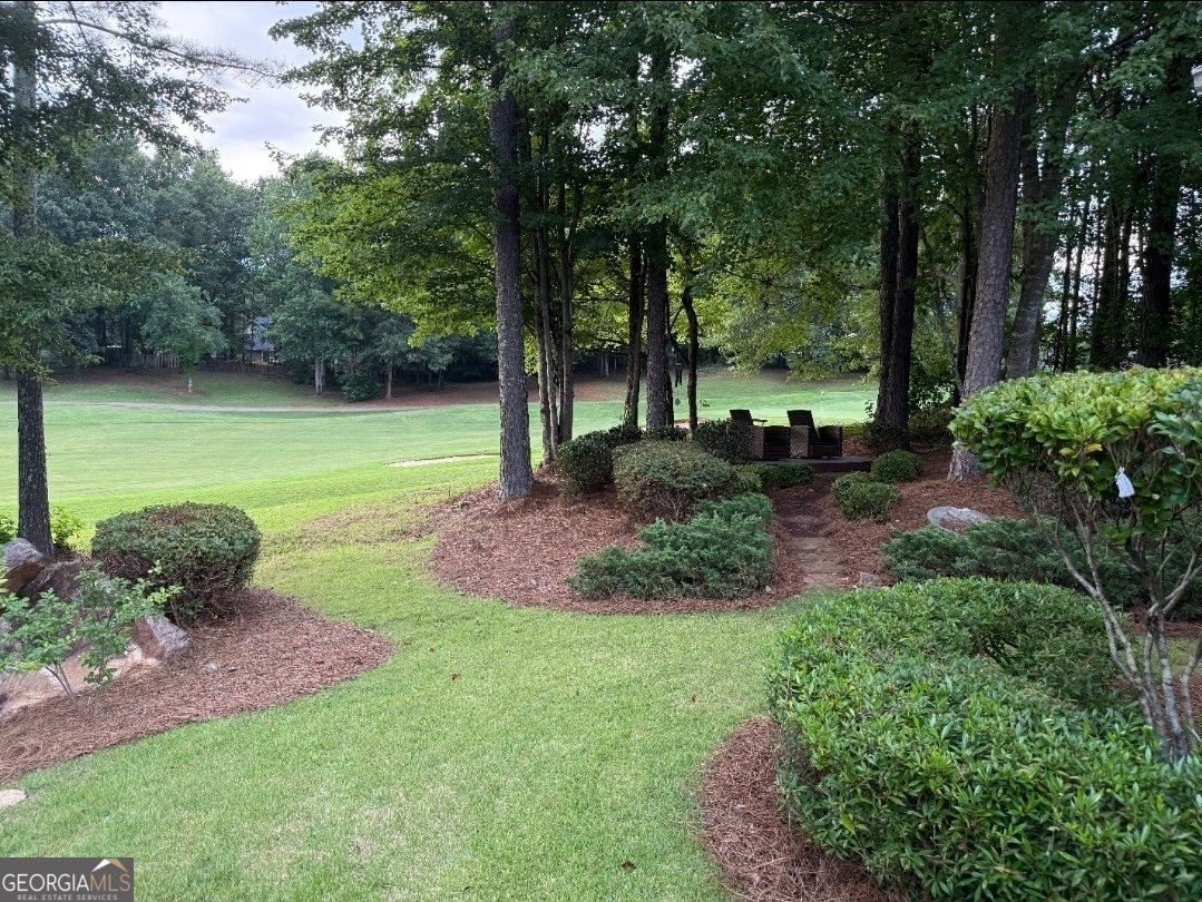 180 Greenview Drive Newnan - 3