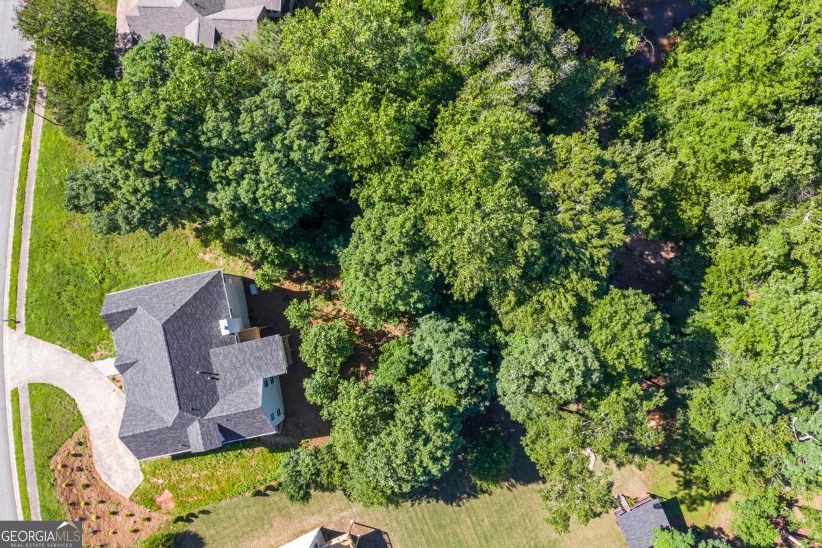 5523 River Valley Way Flowery Branch - 30