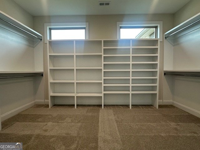 380 Werner Way Senoia - 9
