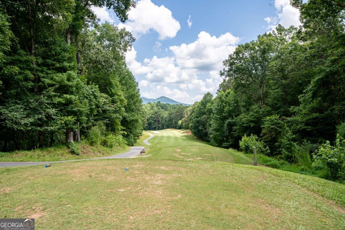 15 Tallulah Court Ellijay - 3