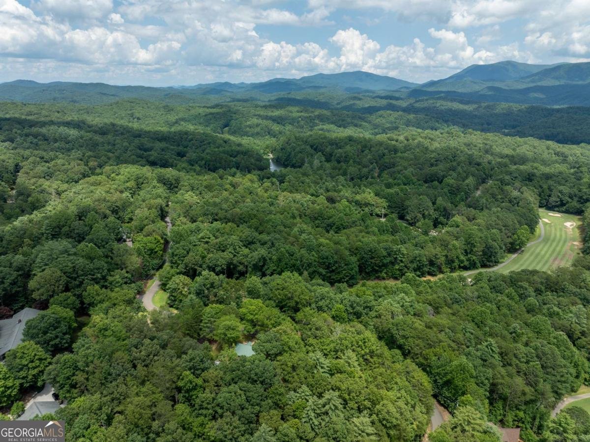 15 Tallulah Court Ellijay - 49