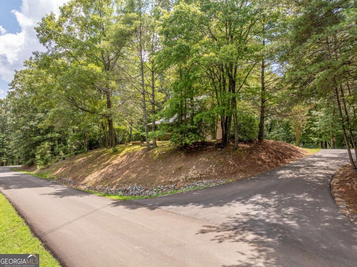 15 Tallulah Court Ellijay - 50
