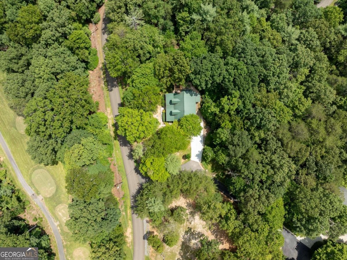 15 Tallulah Court Ellijay - 52