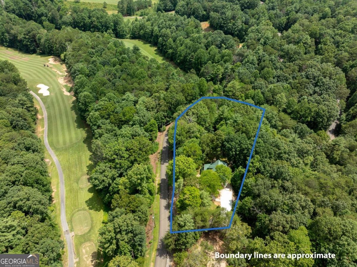 15 Tallulah Court Ellijay - 53