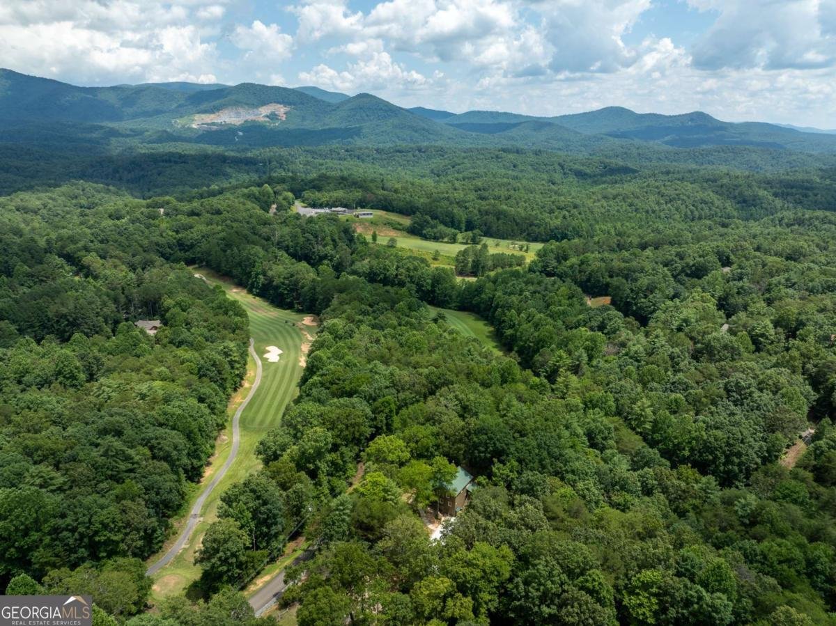 15 Tallulah Court Ellijay - 55