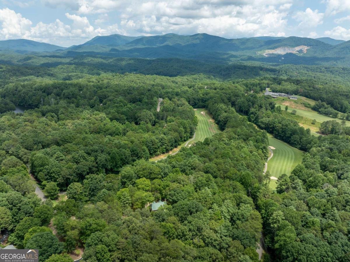 15 Tallulah Court Ellijay - 56