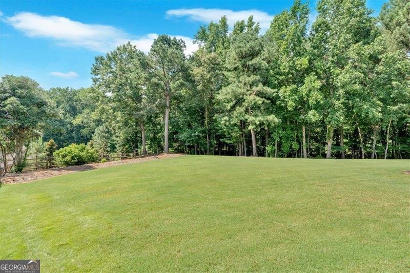 4158 SPRING HILL Kennesaw - 36