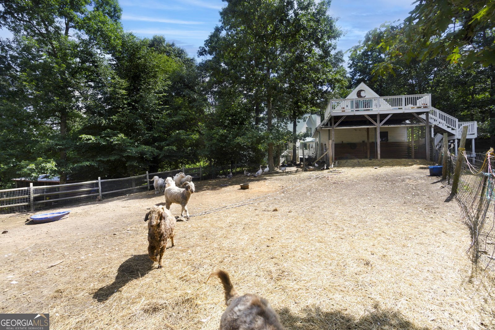 102 Tate Mill Ridge Blairsville - 3