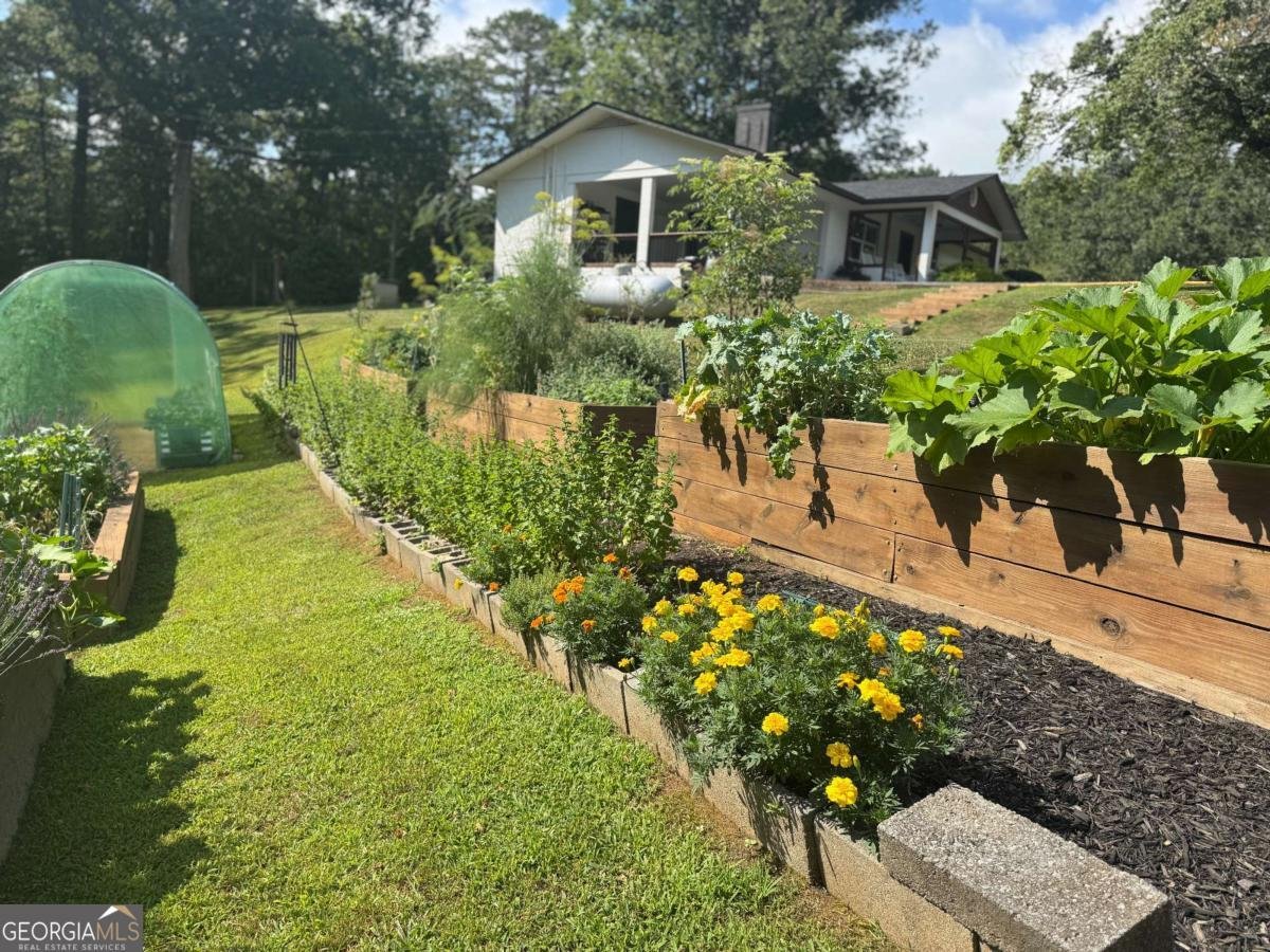 307 Pleasant Gap Cemetery Drive Ellijay - 2