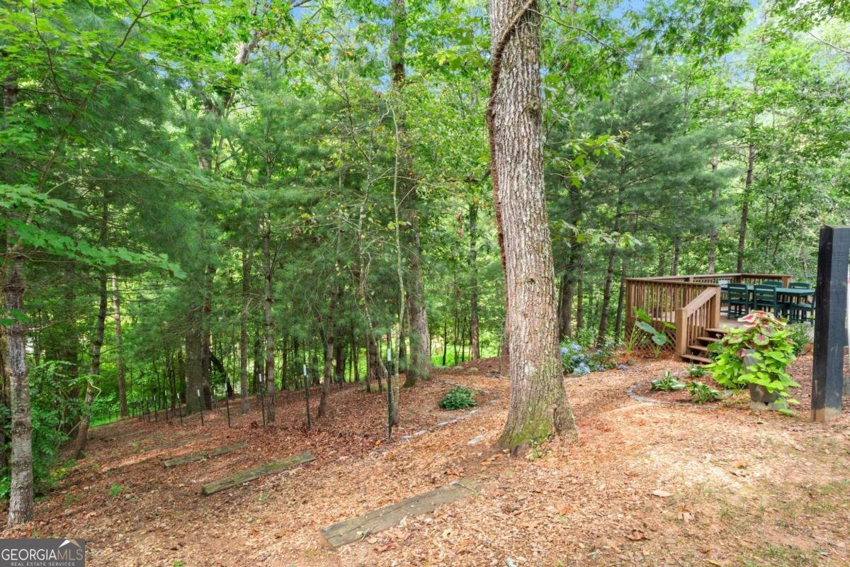 307 Pleasant Gap Cemetery Drive Ellijay - 33