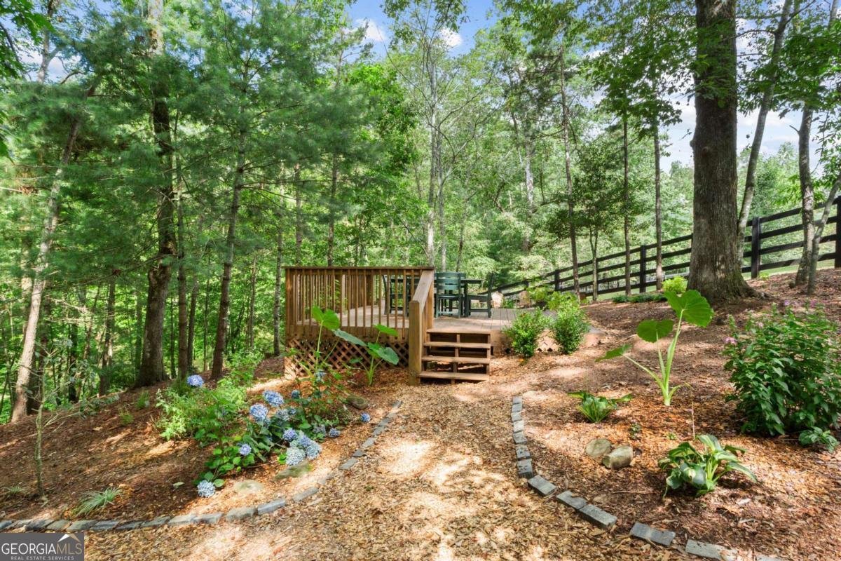307 Pleasant Gap Cemetery Drive Ellijay - 34