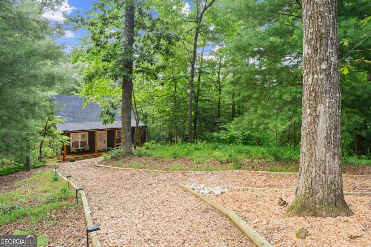 307 Pleasant Gap Cemetery Drive Ellijay - 39