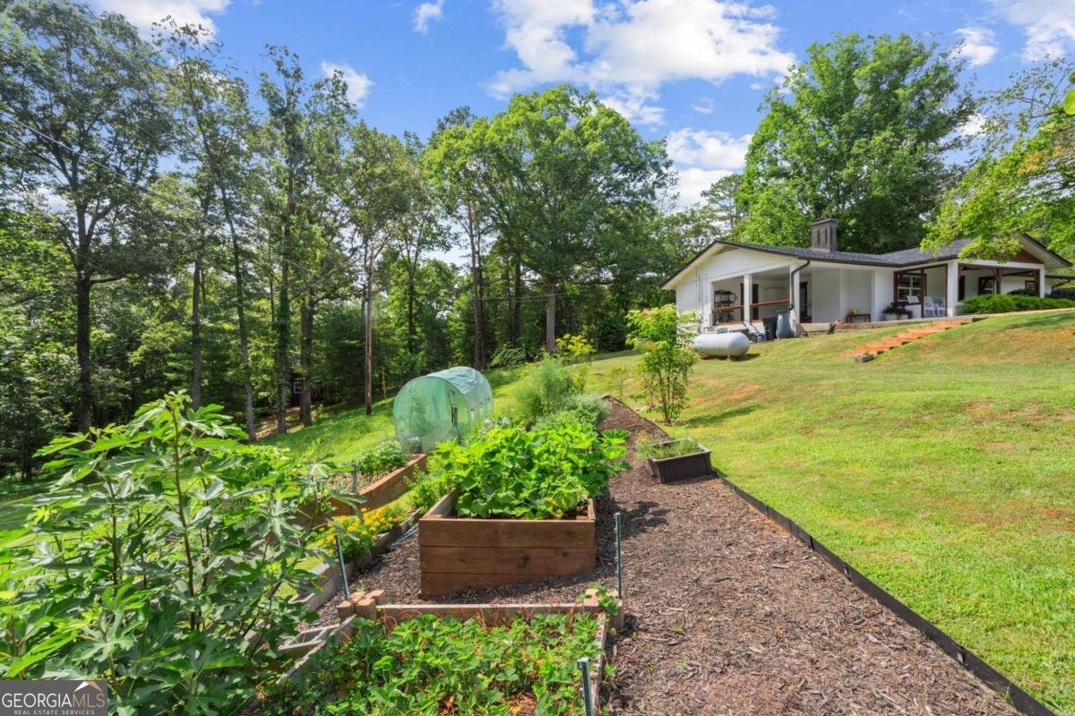 307 Pleasant Gap Cemetery Drive Ellijay - 49