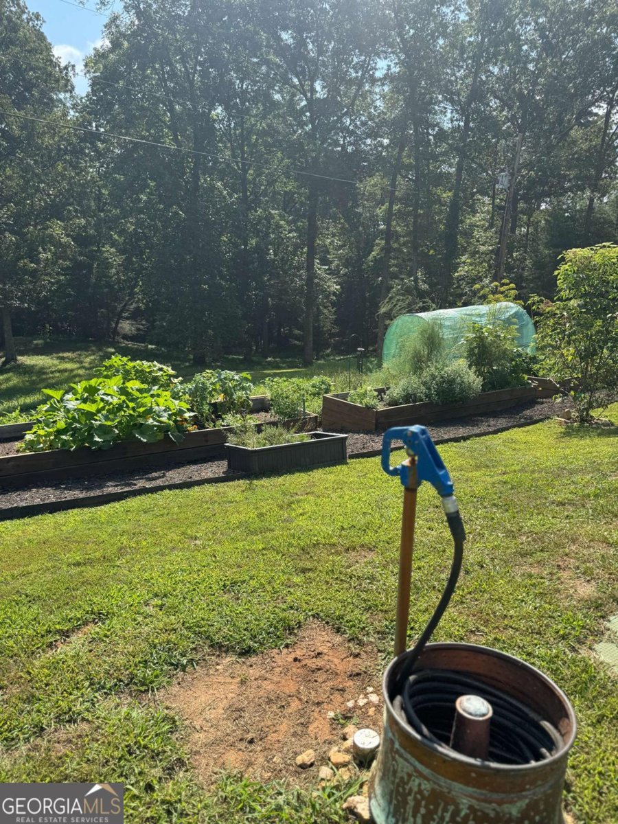 307 Pleasant Gap Cemetery Drive Ellijay - 5